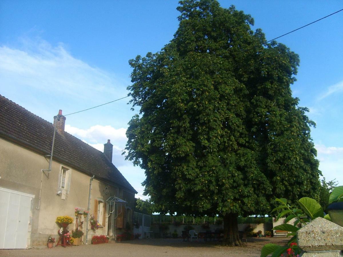 Armalou Bed and Breakfast Pouilly-sur-Loire Εξωτερικό φωτογραφία